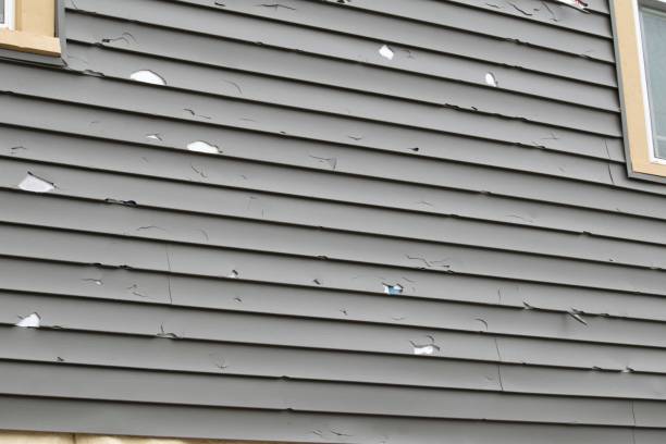 Best Same-Day Junk Removal Services  in Sandusky, MI